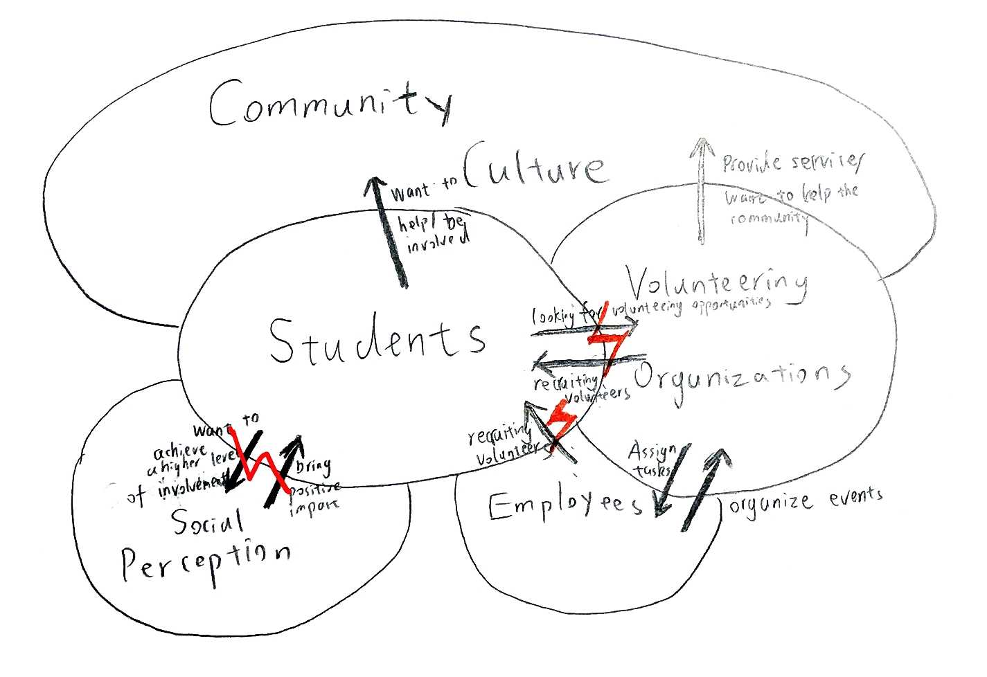 Cultural model for a student interested in volunteering